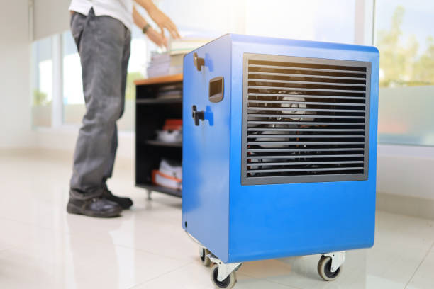 Best Mold Remediation for Healthcare Facilities  in Starbuck, MN