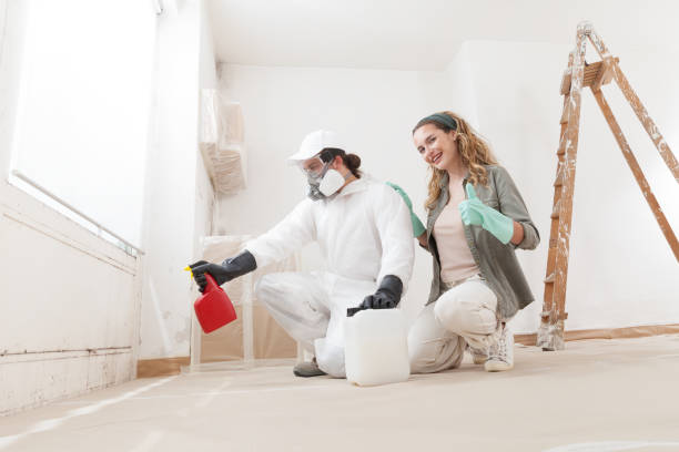 Best Residential Mold Inspection & Testing  in Starbuck, MN